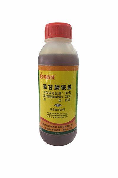  500g銀收成